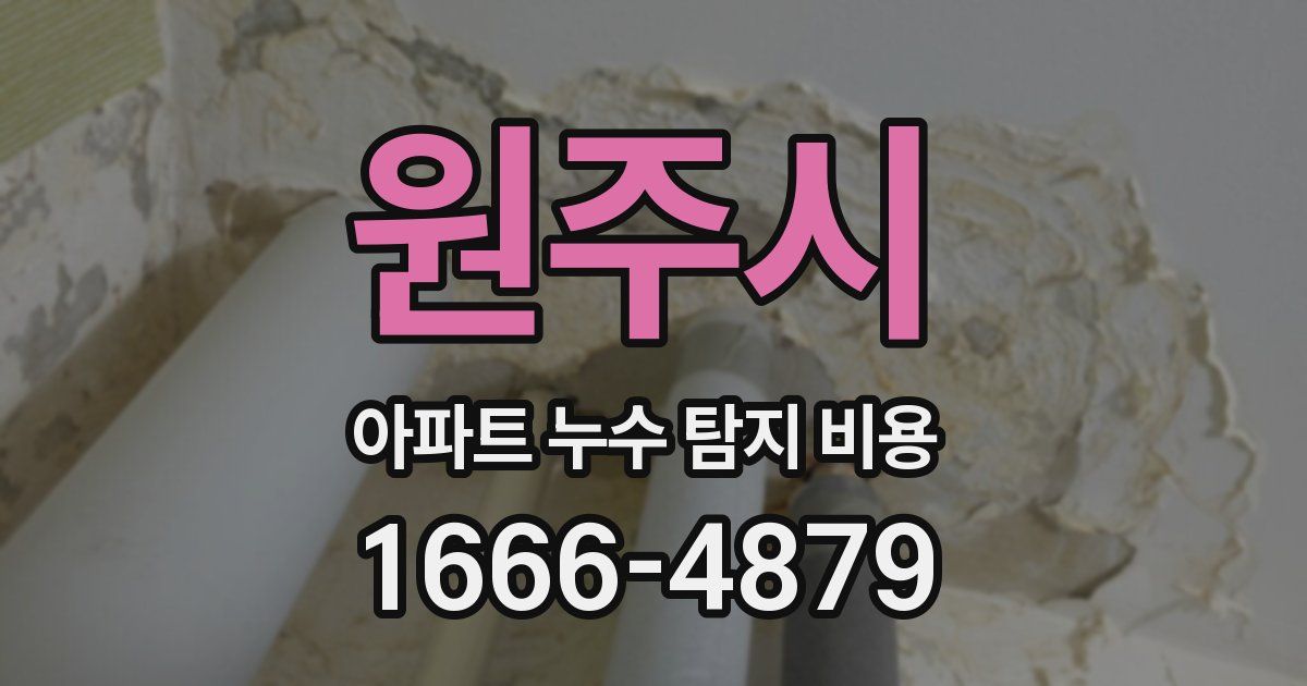 원주시 아파트 누수 탐지 비용