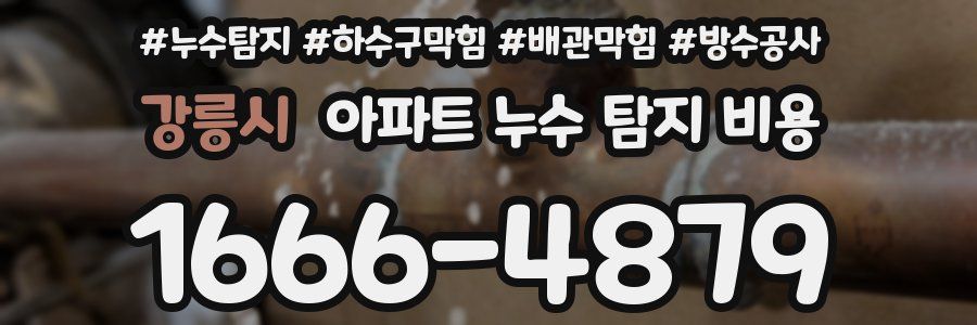 강릉시 아파트 누수 탐지 비용