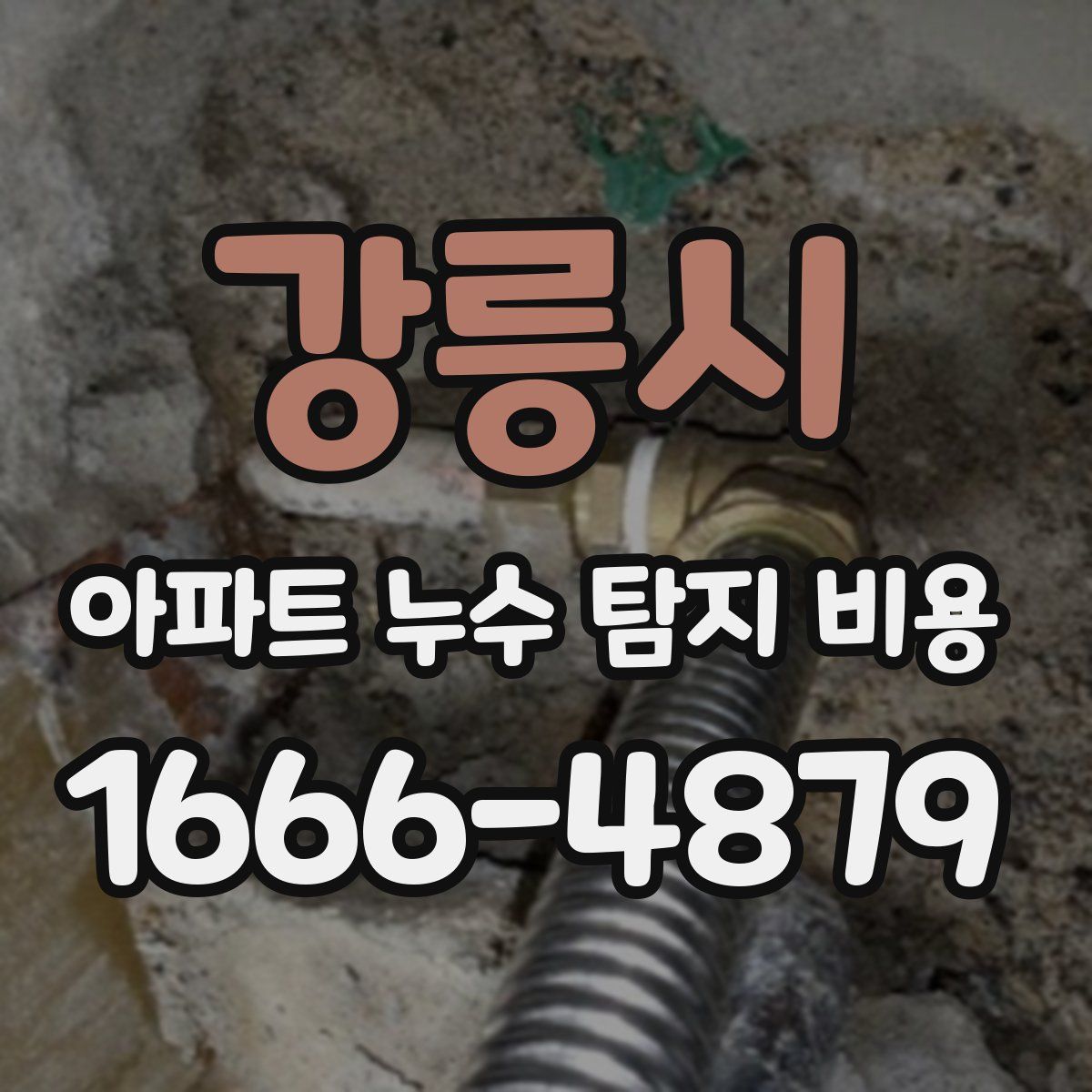 강릉시 아파트 누수 탐지 비용