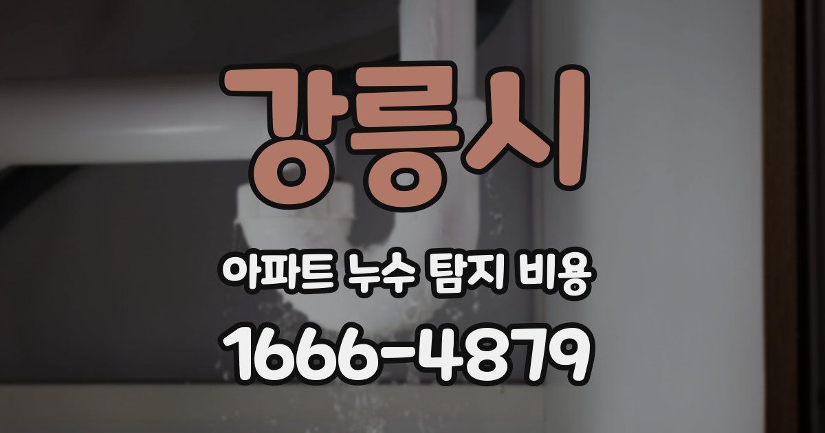 강릉시 아파트 누수 탐지 비용