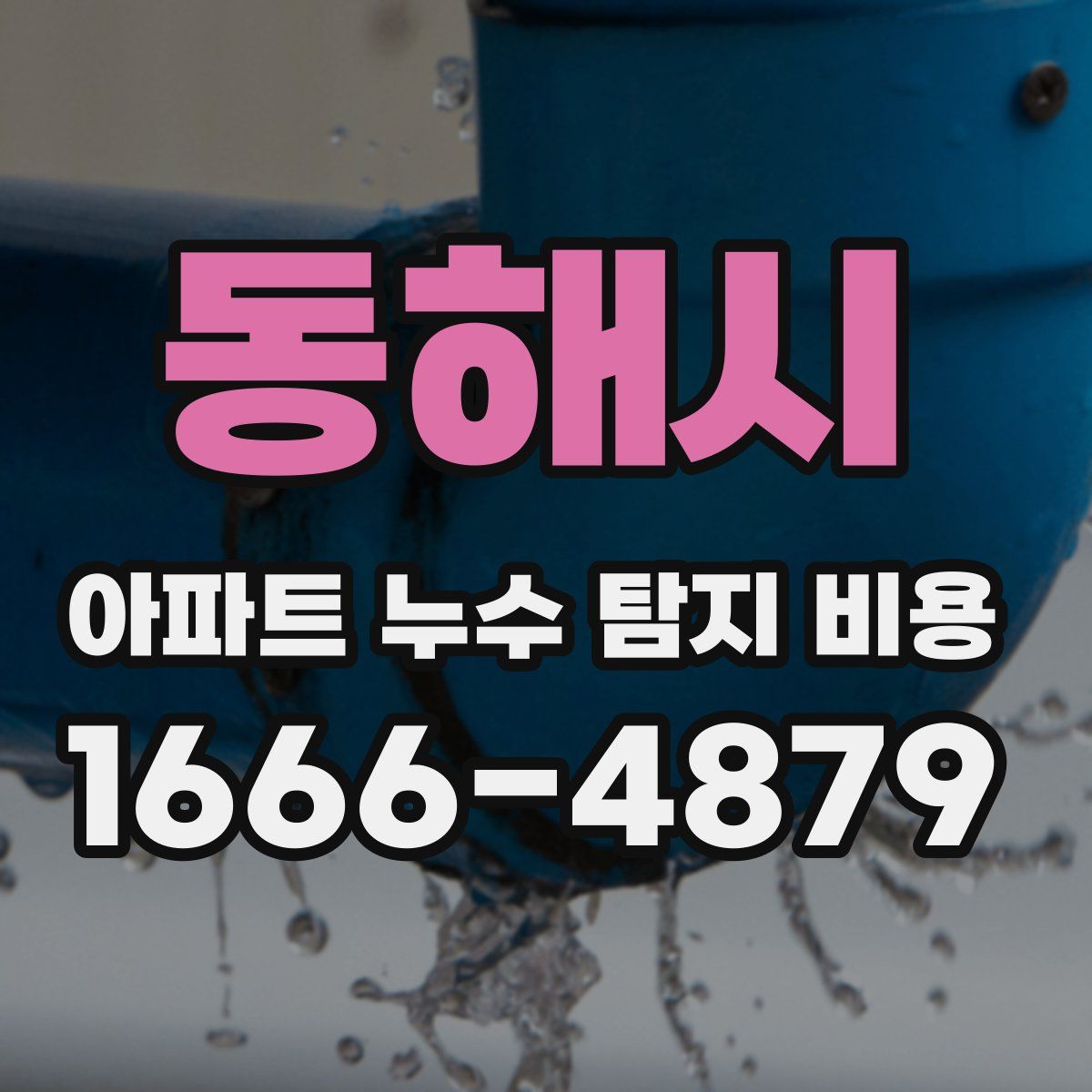 동해시 아파트 누수 탐지 비용