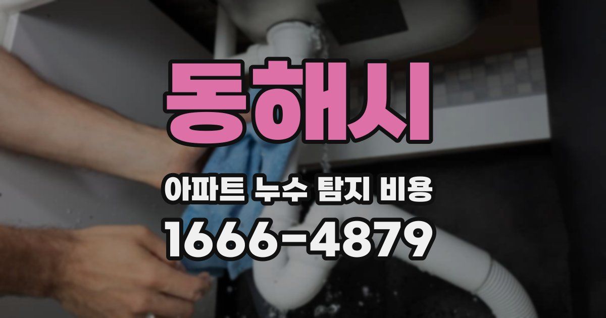 동해시 아파트 누수 탐지 비용