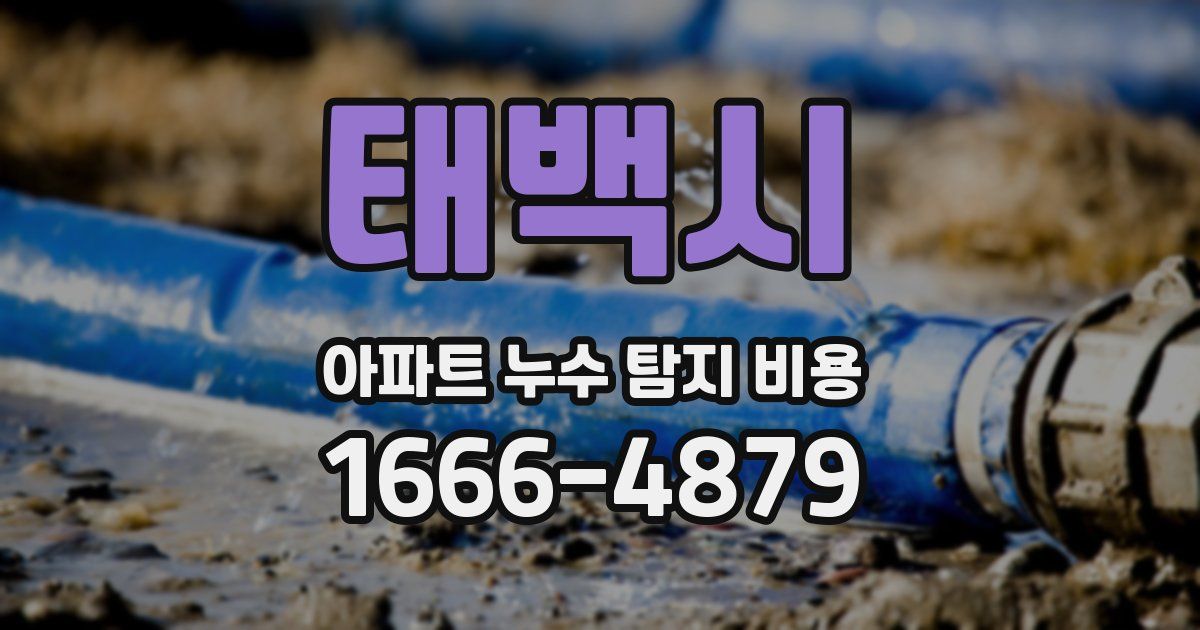 태백시 아파트 누수 탐지 비용