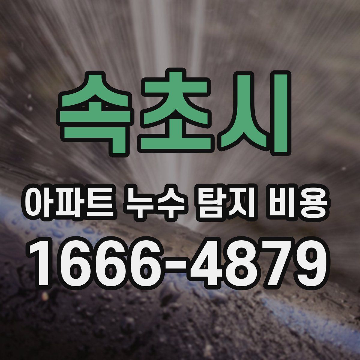 속초시 아파트 누수 탐지 비용