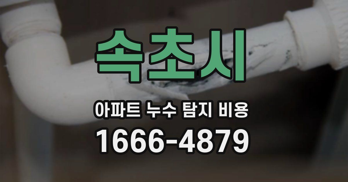 속초시 아파트 누수 탐지 비용