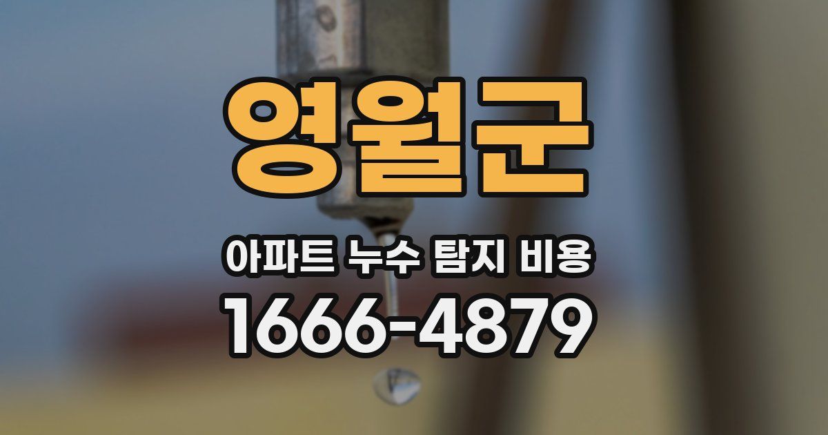 영월군 아파트 누수 탐지 비용