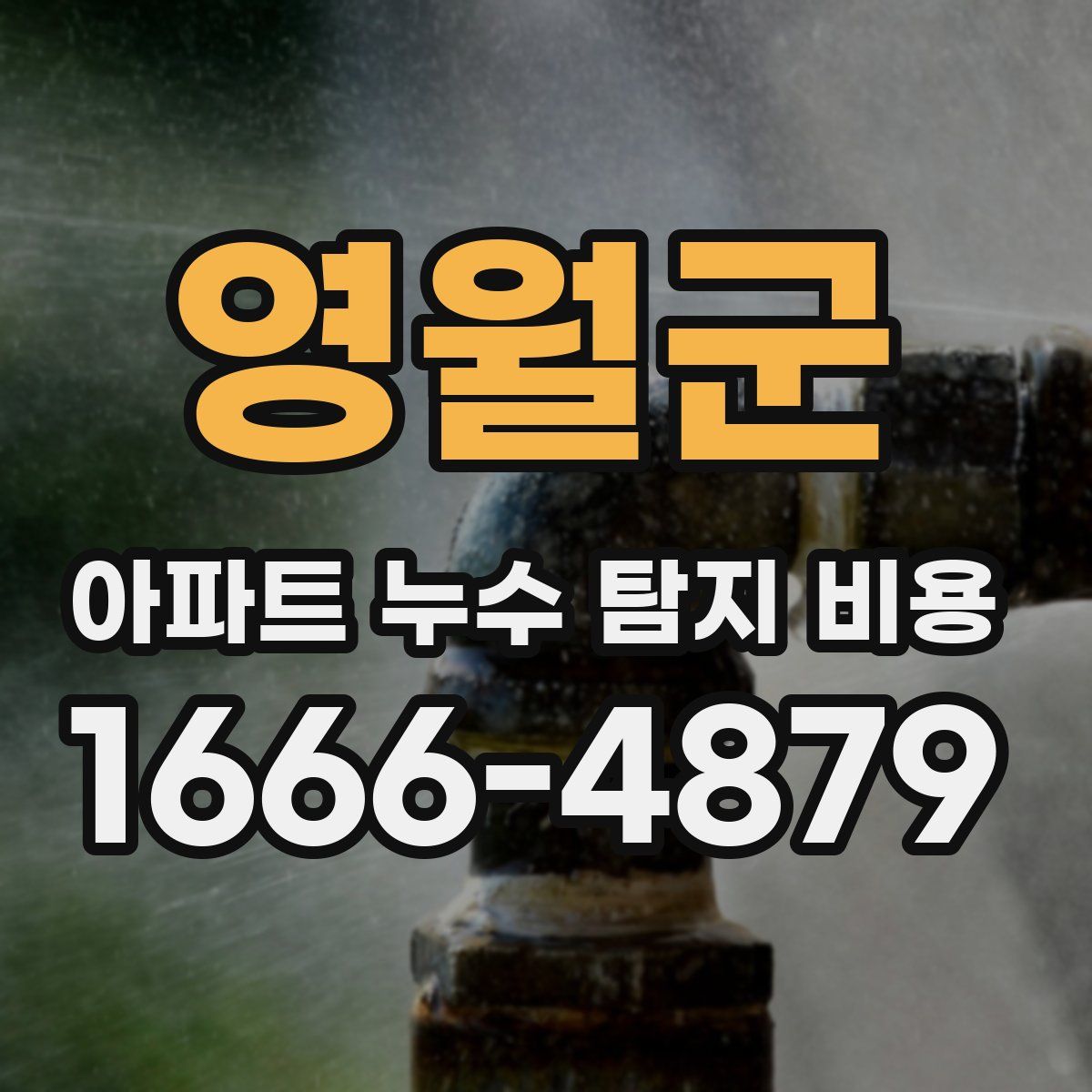 영월군 아파트 누수 탐지 비용