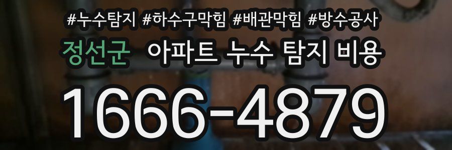 정선군 아파트 누수 탐지 비용