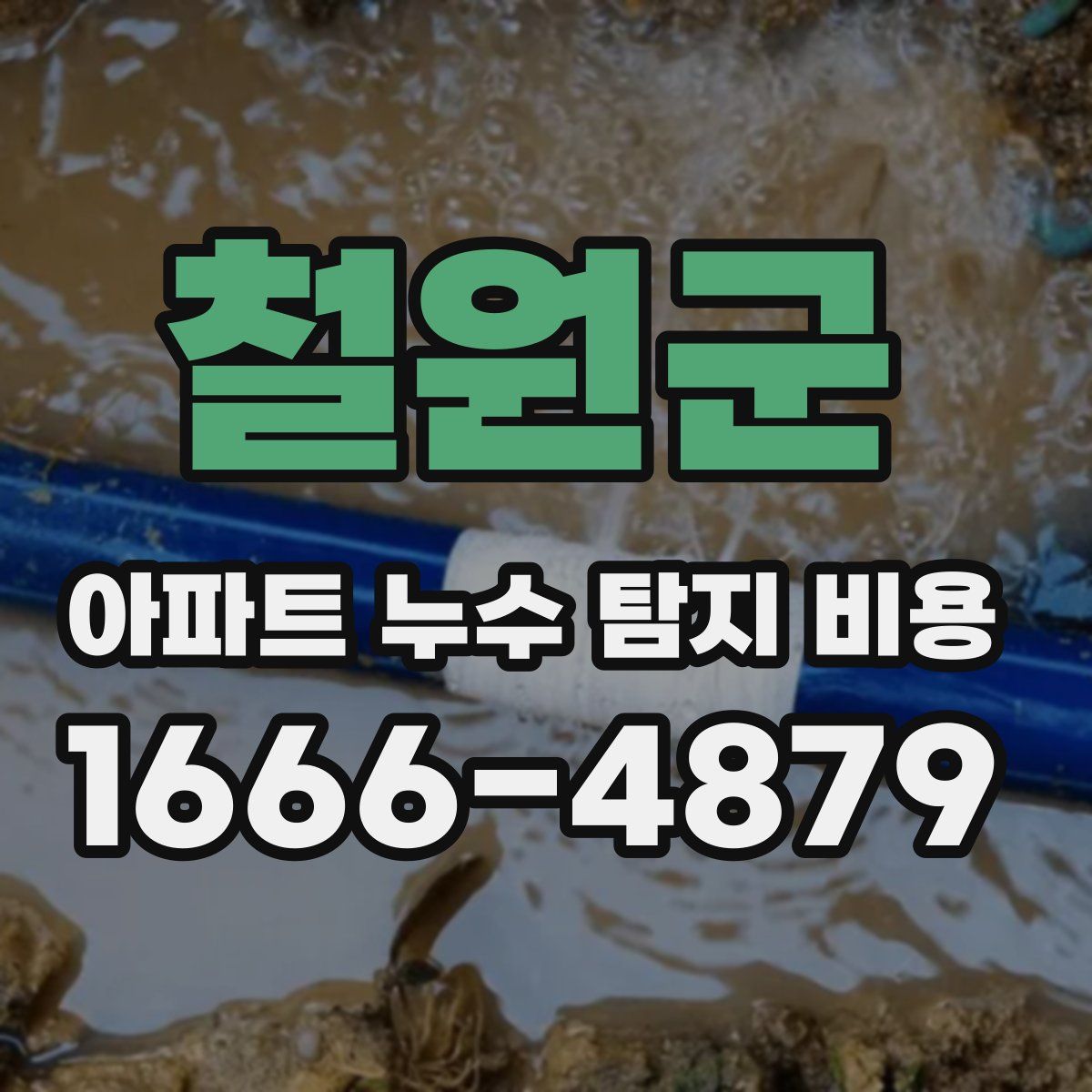 철원군 아파트 누수 탐지 비용