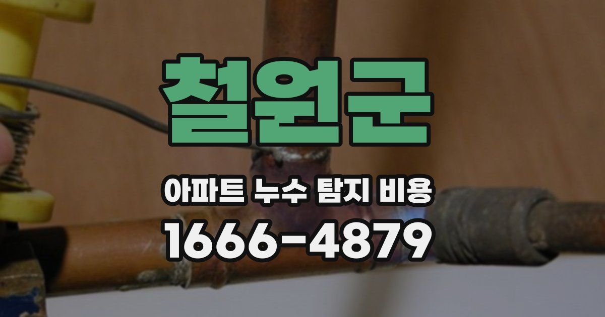 철원군 아파트 누수 탐지 비용