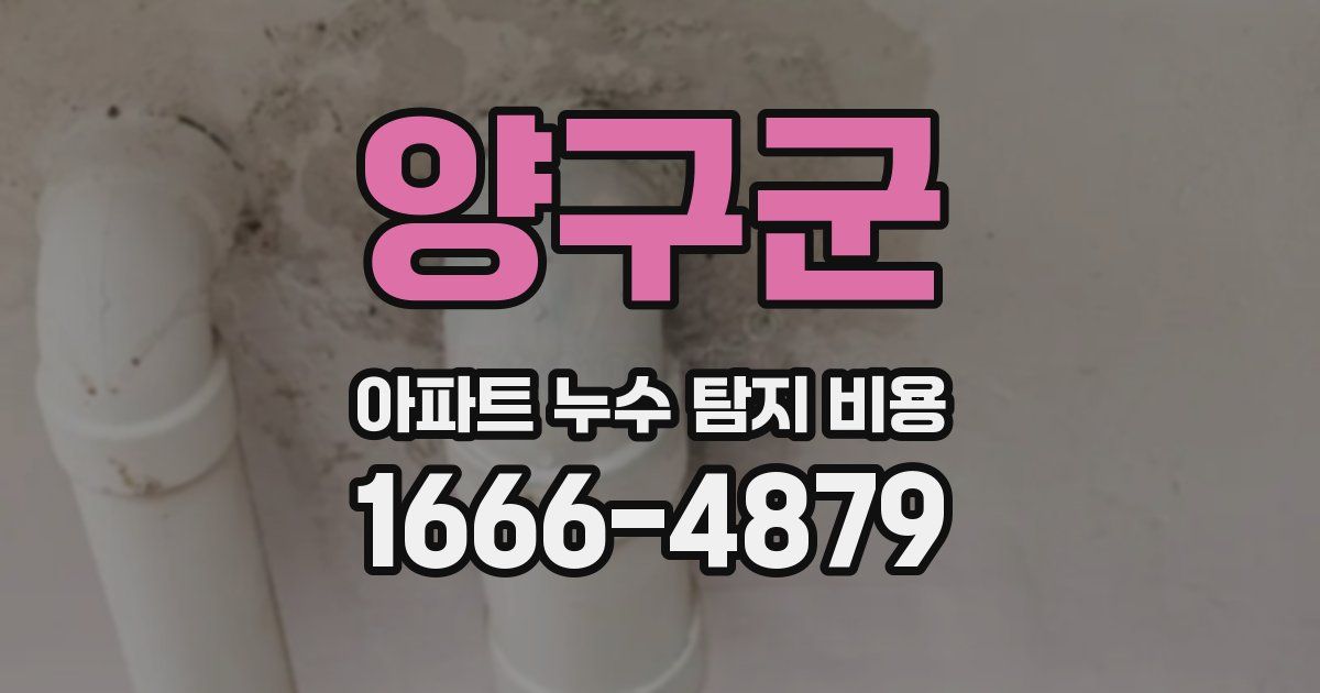 양구군 아파트 누수 탐지 비용