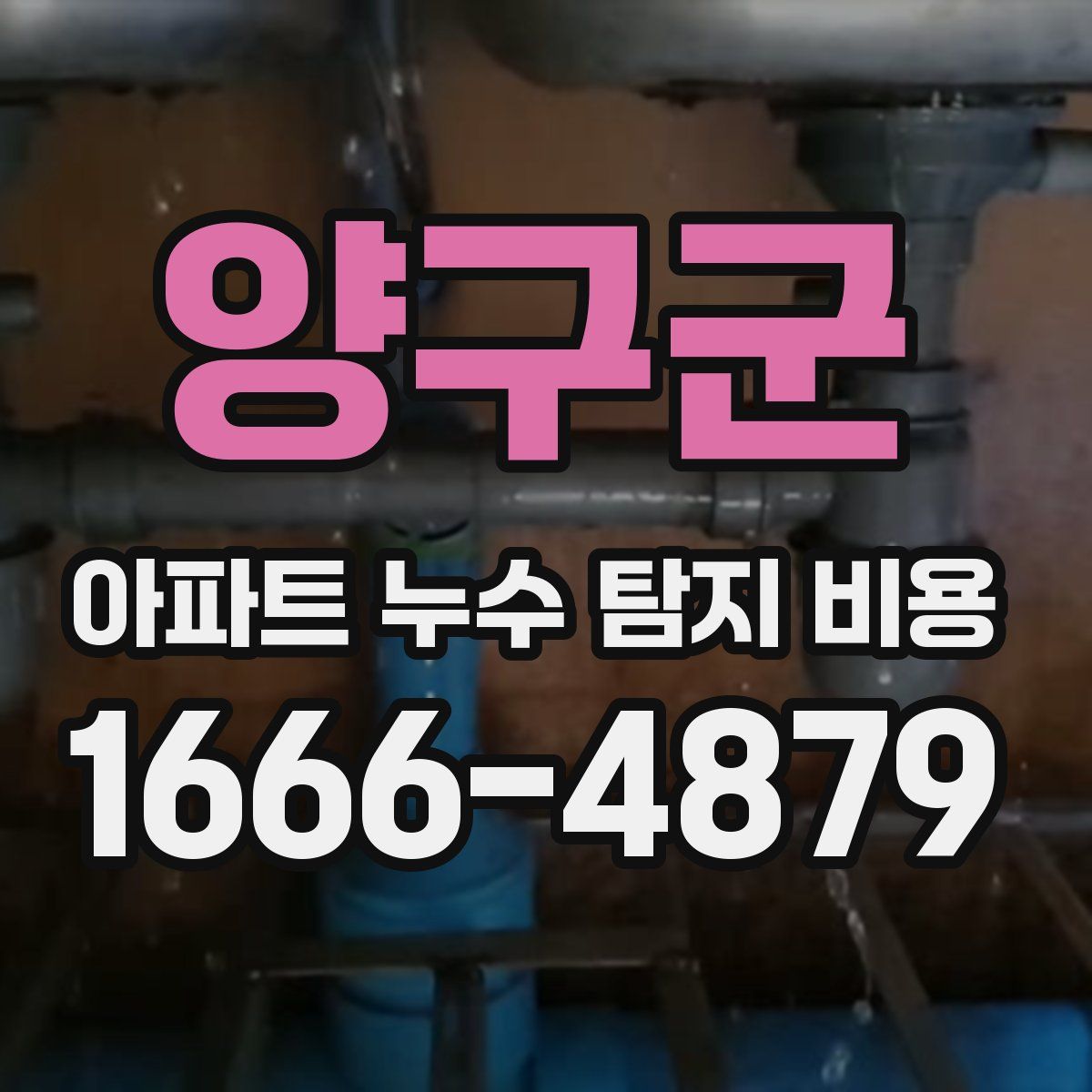 양구군 아파트 누수 탐지 비용