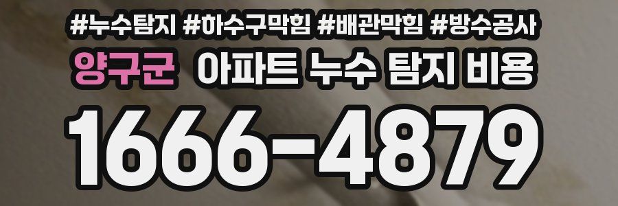 양구군 아파트 누수 탐지 비용