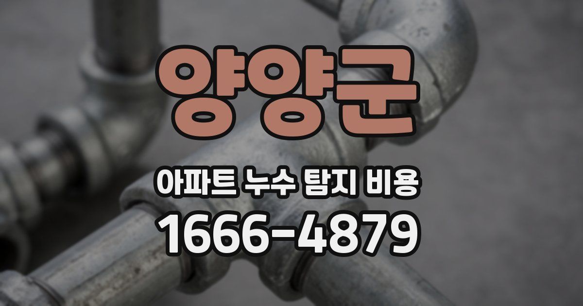 양양군 아파트 누수 탐지 비용