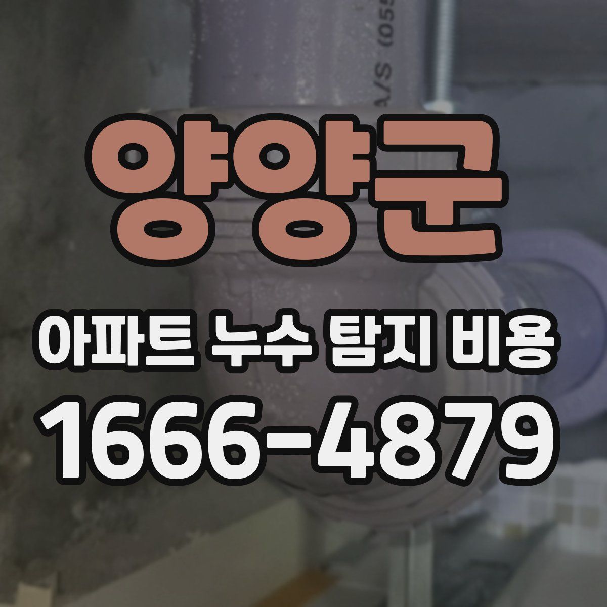 양양군 아파트 누수 탐지 비용