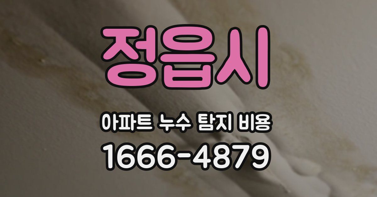 정읍시 아파트 누수 탐지 비용