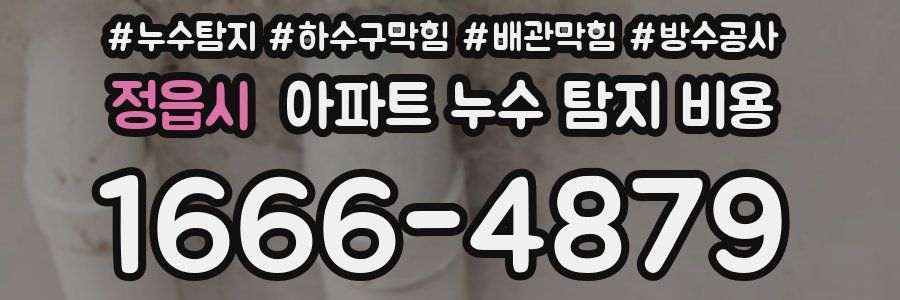 정읍시 아파트 누수 탐지 비용