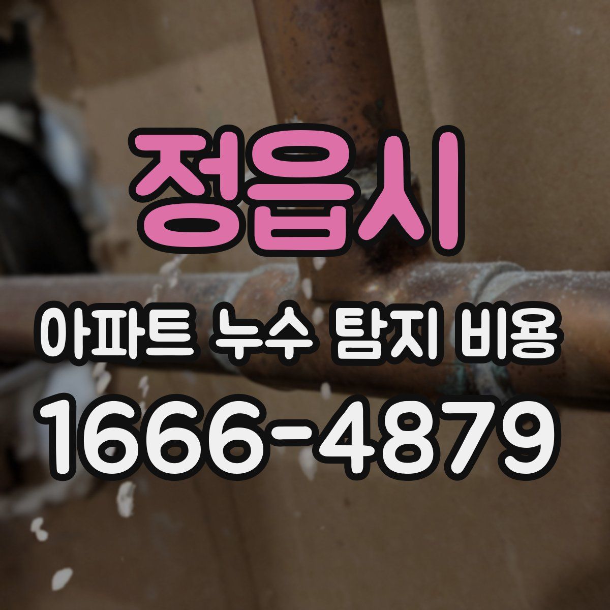 정읍시 아파트 누수 탐지 비용