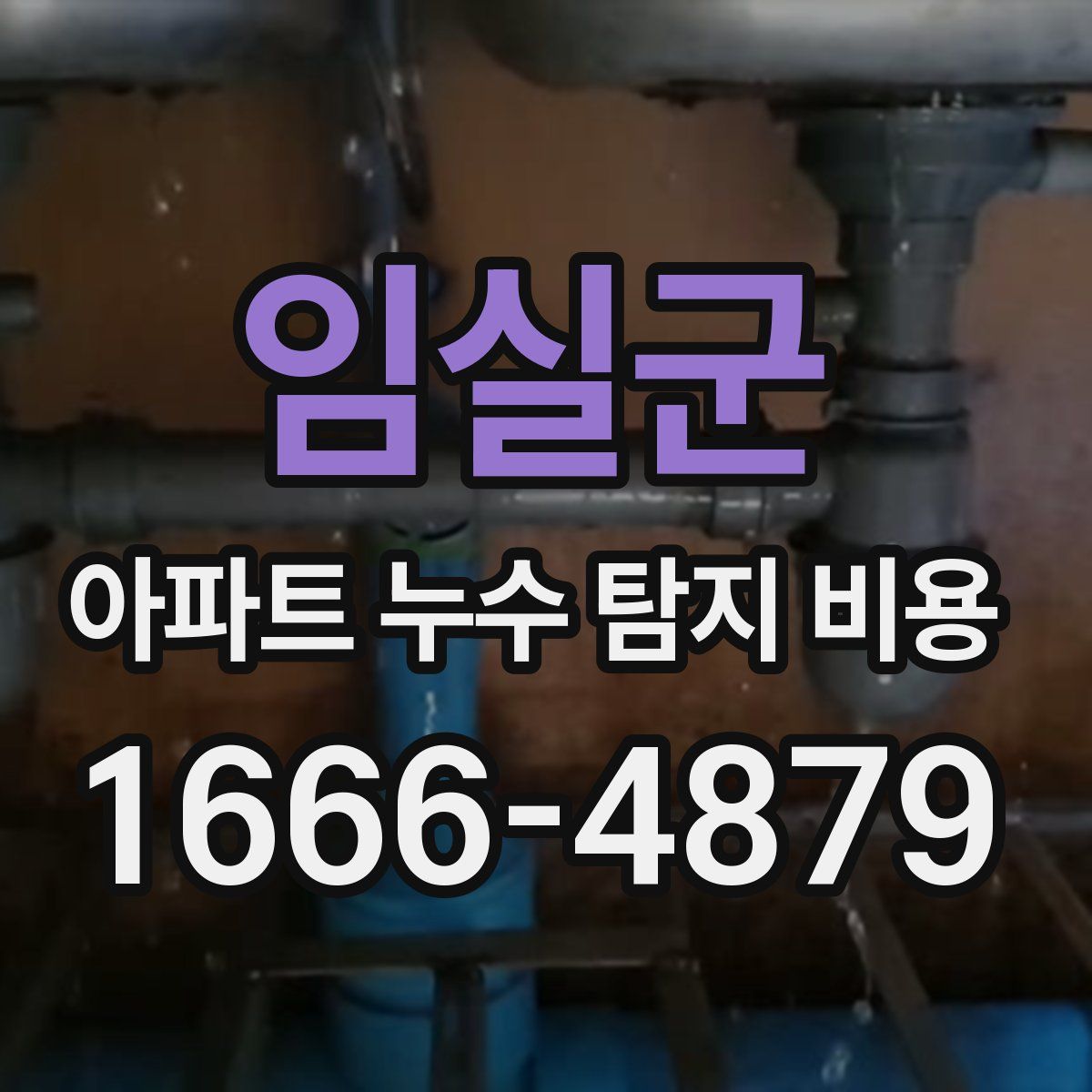 임실군 아파트 누수 탐지 비용