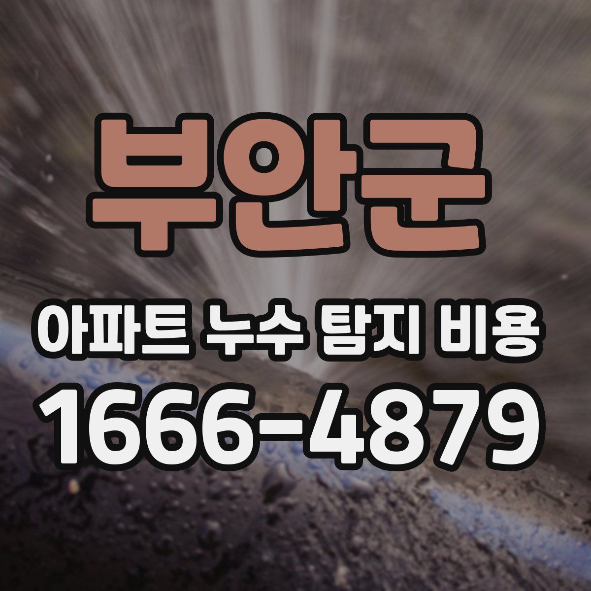 부안군 아파트 누수 탐지 비용