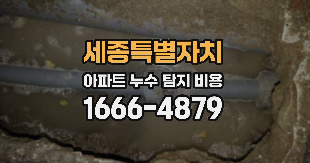 세종특별자치 아파트 누수 탐지 비용