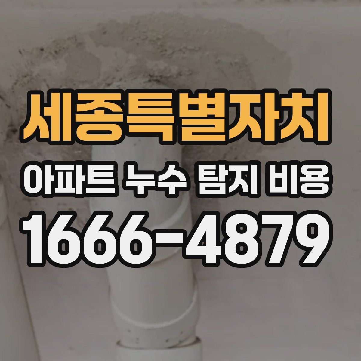 세종특별자치 아파트 누수 탐지 비용