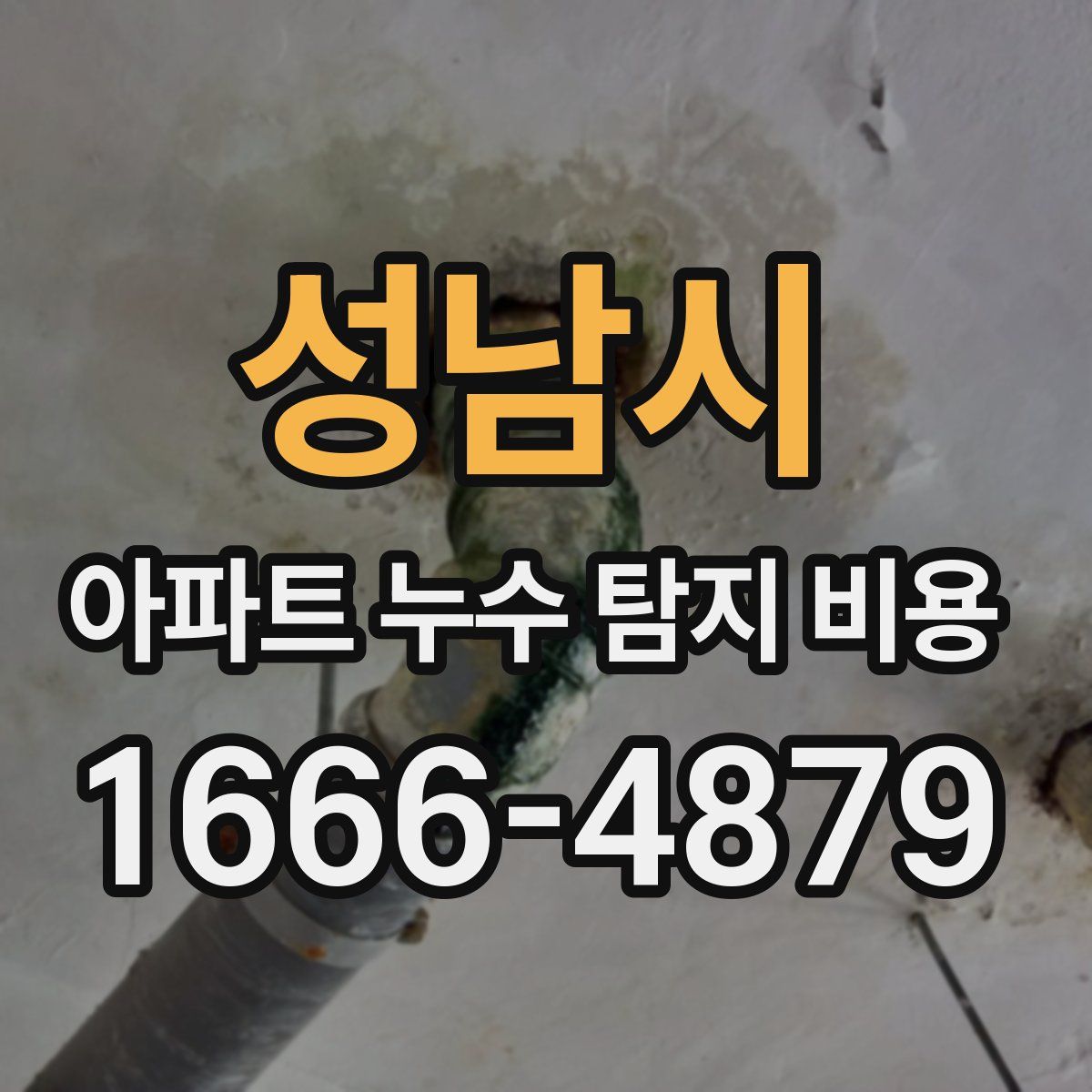성남시 아파트 누수 탐지 비용