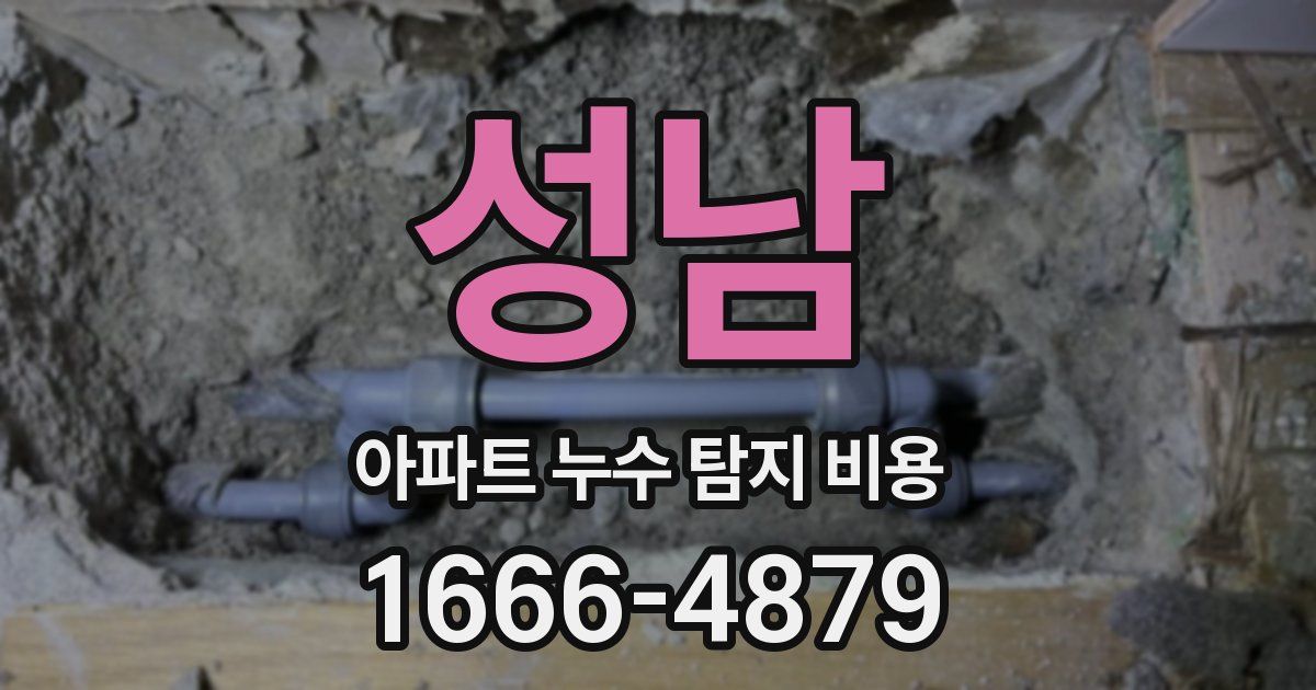 성남 아파트 누수 탐지 비용