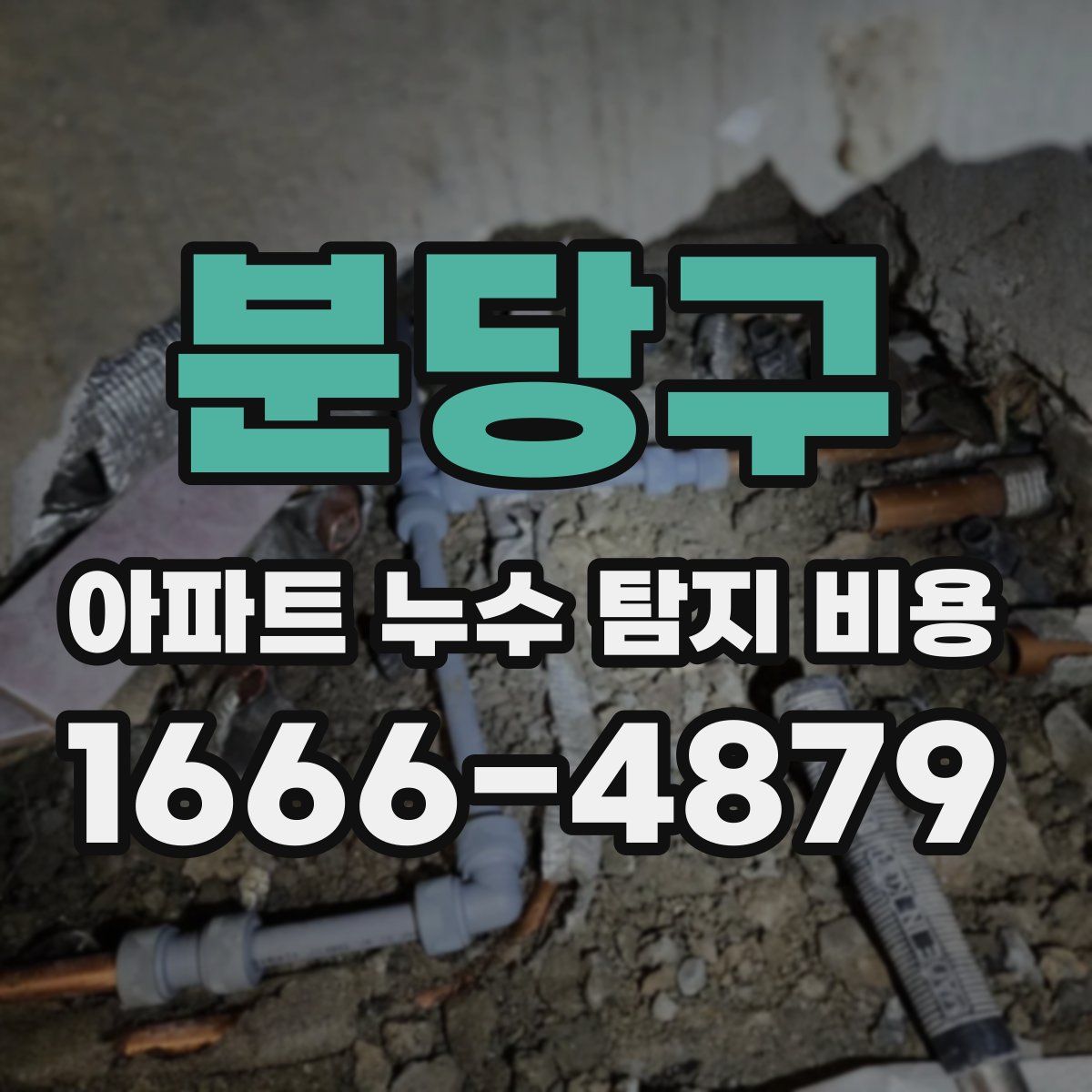 분당구 아파트 누수 탐지 비용