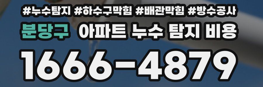 분당구 아파트 누수 탐지 비용