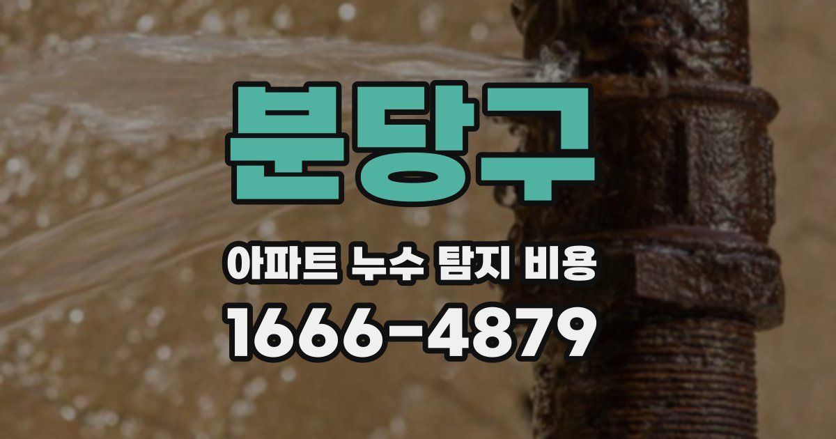 분당구 아파트 누수 탐지 비용