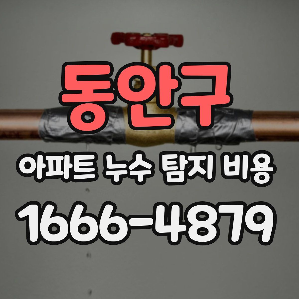 동안구 아파트 누수 탐지 비용