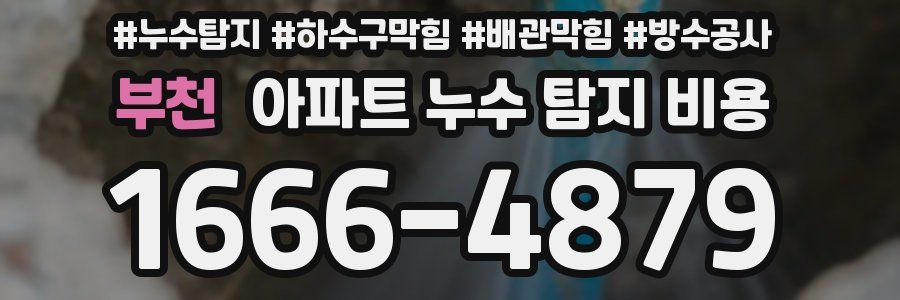 부천 아파트 누수 탐지 비용