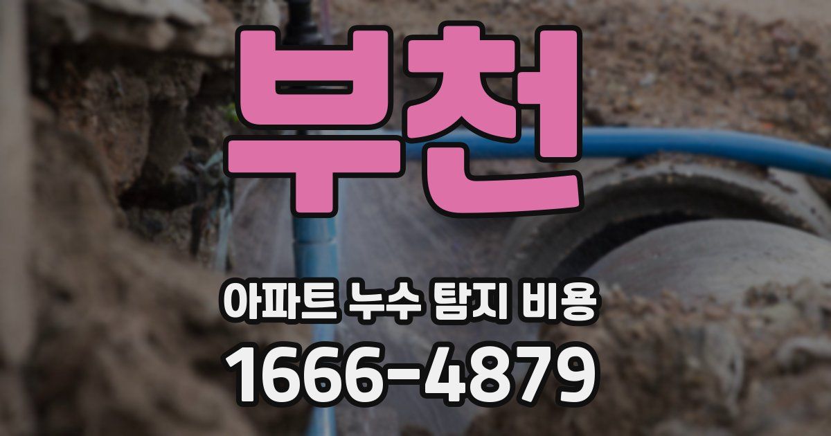 부천 아파트 누수 탐지 비용