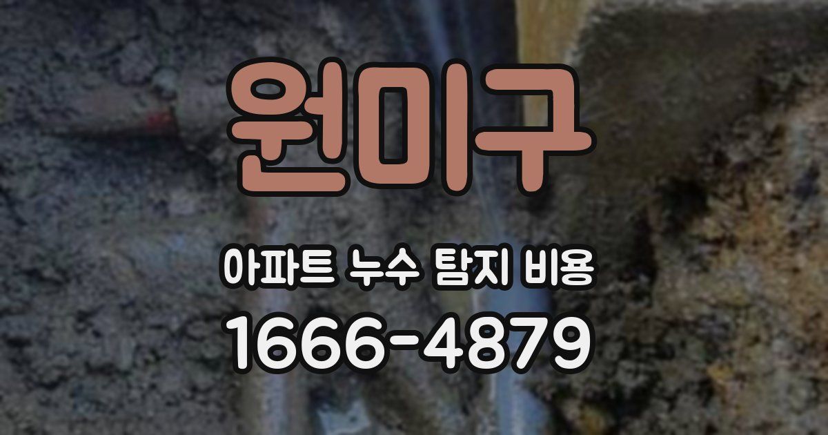 원미구 아파트 누수 탐지 비용