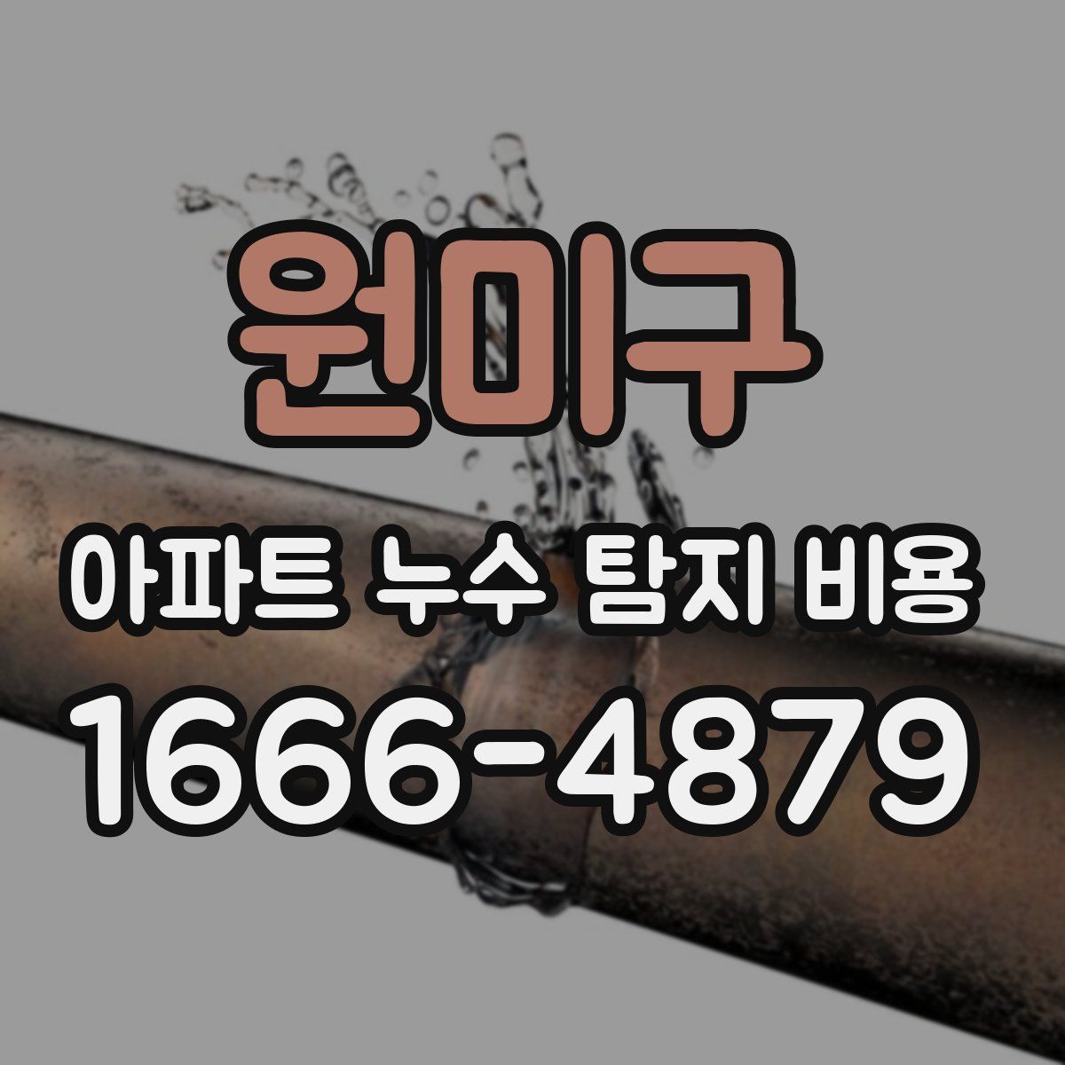 원미구 아파트 누수 탐지 비용