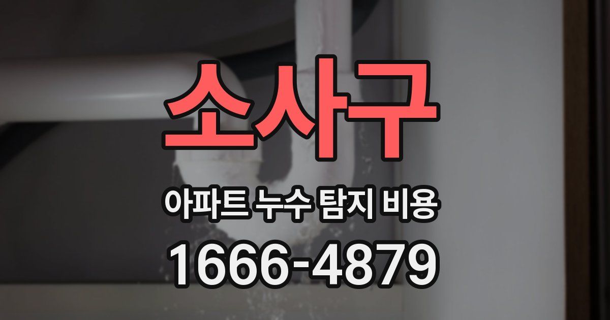 소사구 아파트 누수 탐지 비용