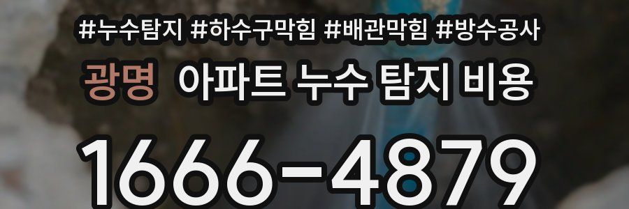 광명 아파트 누수 탐지 비용