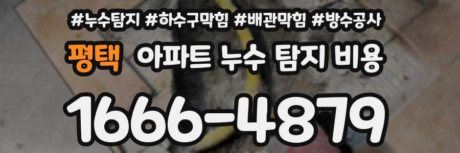 평택 아파트 누수 탐지 비용
