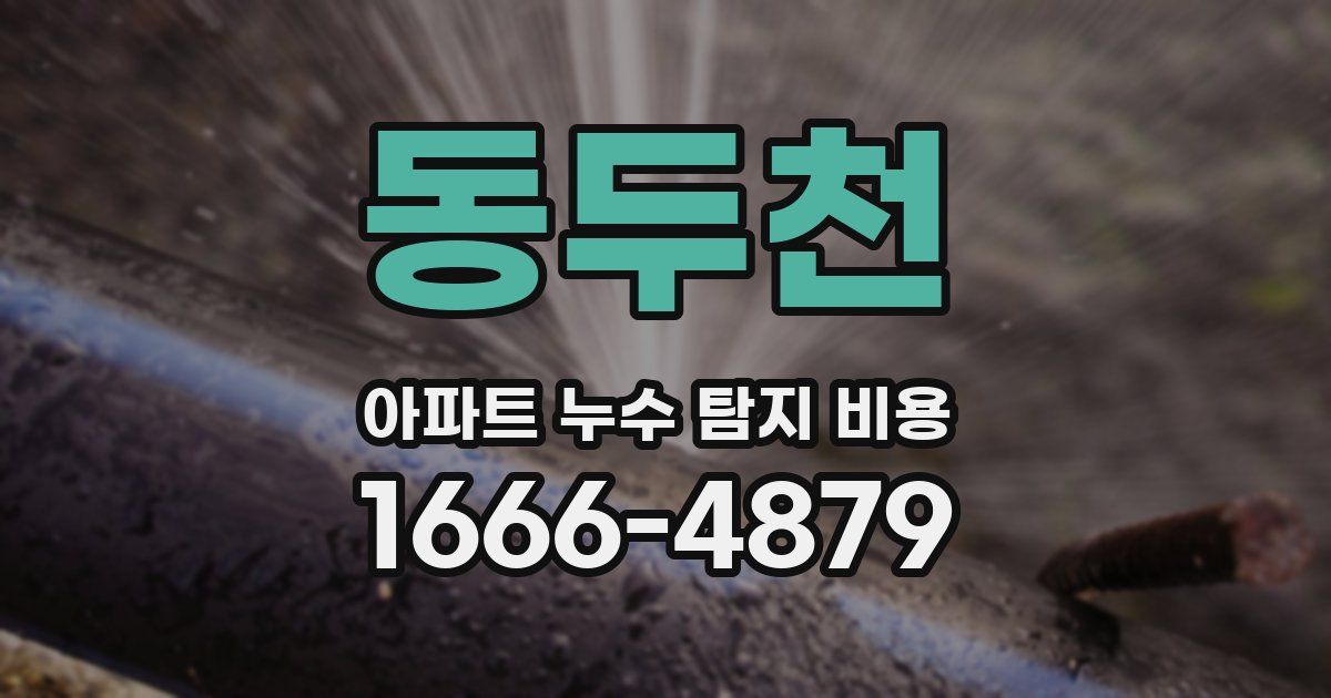 동두천 아파트 누수 탐지 비용