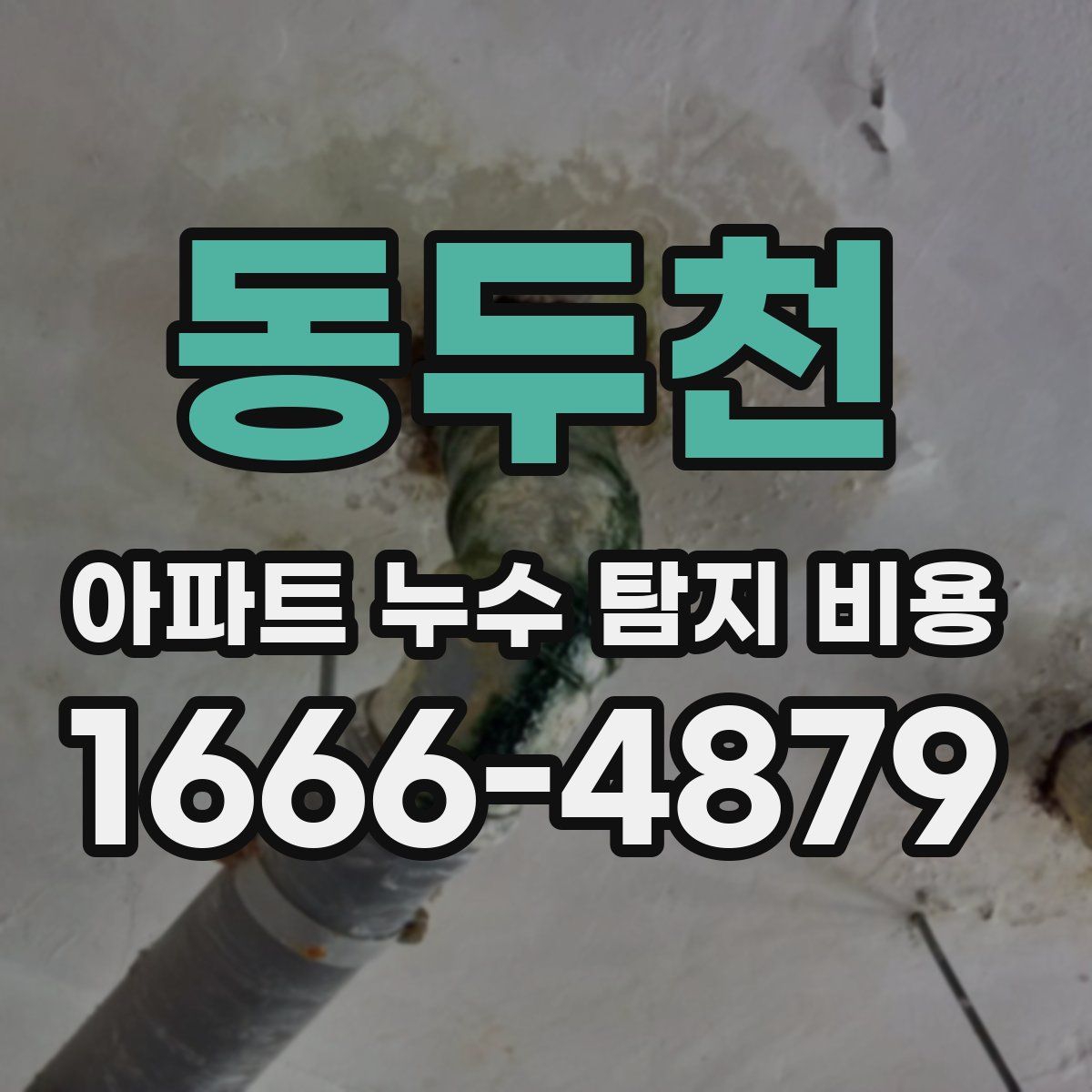 동두천 아파트 누수 탐지 비용