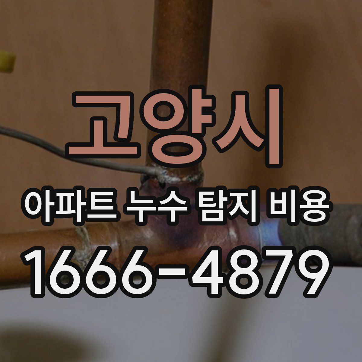 고양시 아파트 누수 탐지 비용