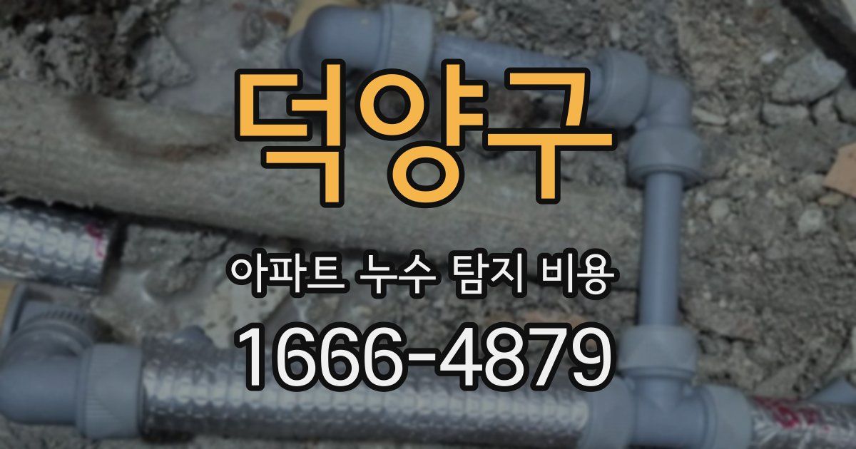 덕양구 아파트 누수 탐지 비용