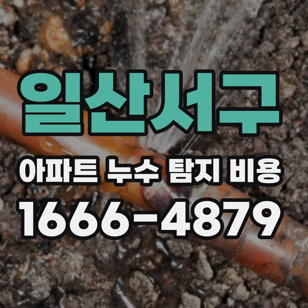 일산서구 아파트 누수 탐지 비용