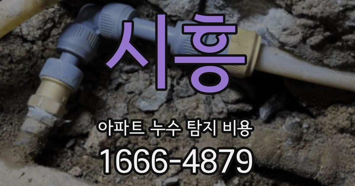 시흥 아파트 누수 탐지 비용