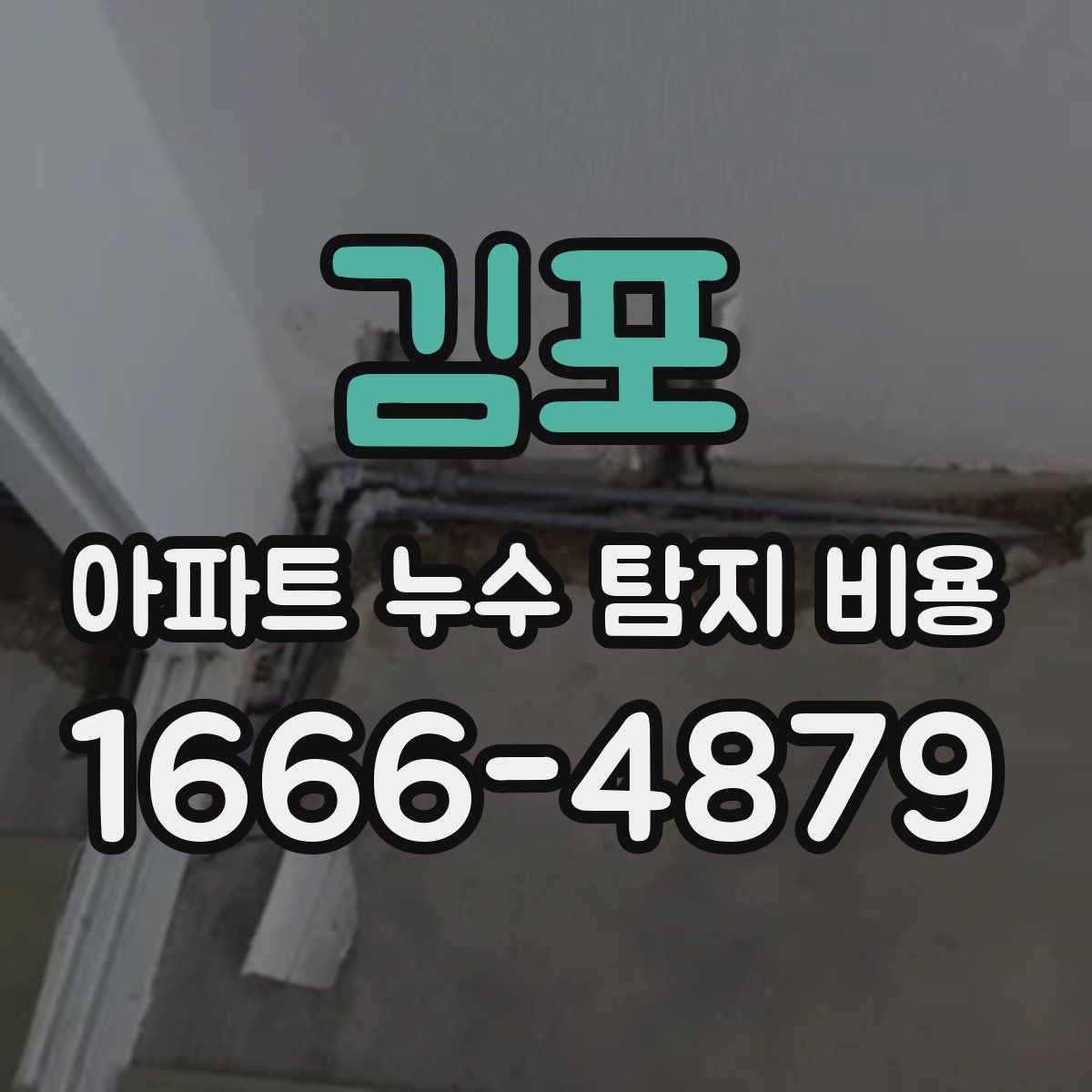 김포 아파트 누수 탐지 비용