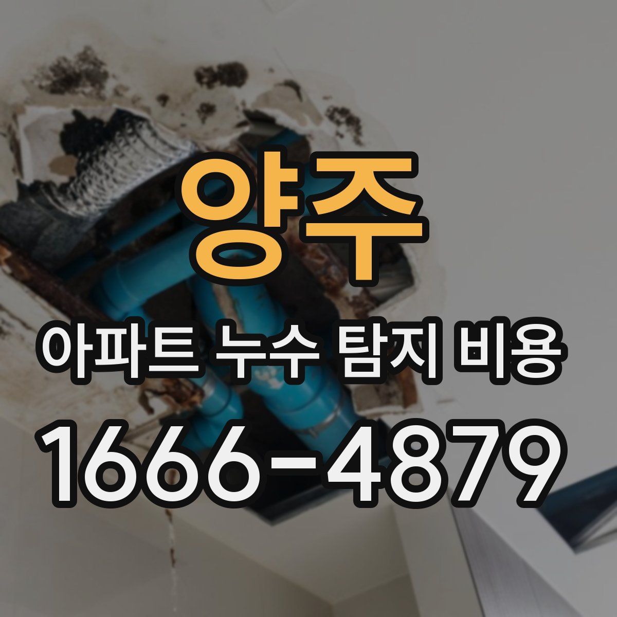 양주 아파트 누수 탐지 비용
