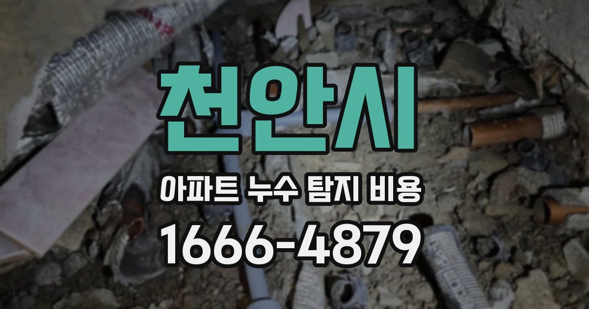 천안시 아파트 누수 탐지 비용