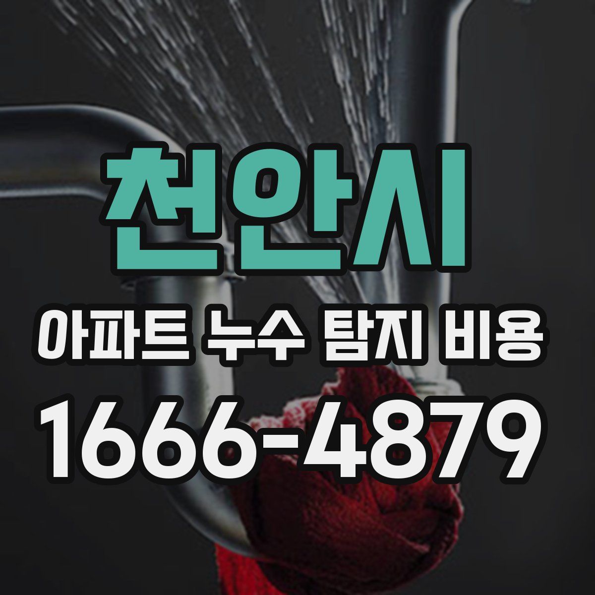 천안시 아파트 누수 탐지 비용