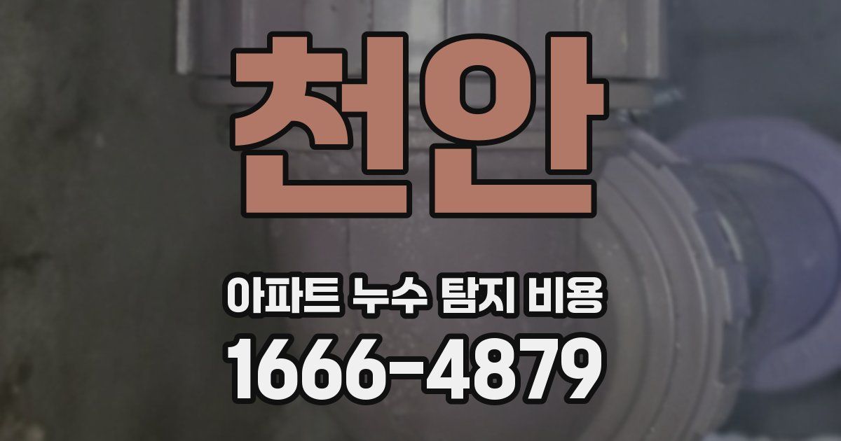 천안 아파트 누수 탐지 비용